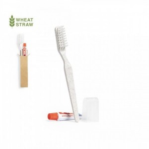 Set dental con cepillo de dientes y pasta