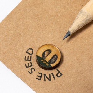  Lápices con semillas promocionales para regalos promocionales personalizados