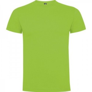  Camisetas publicitarias Roly con logo VERDE OASIS